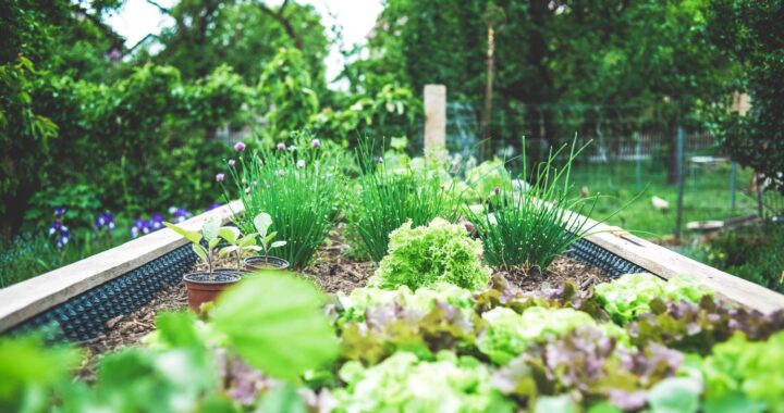 STABLZ for Planter Gardening